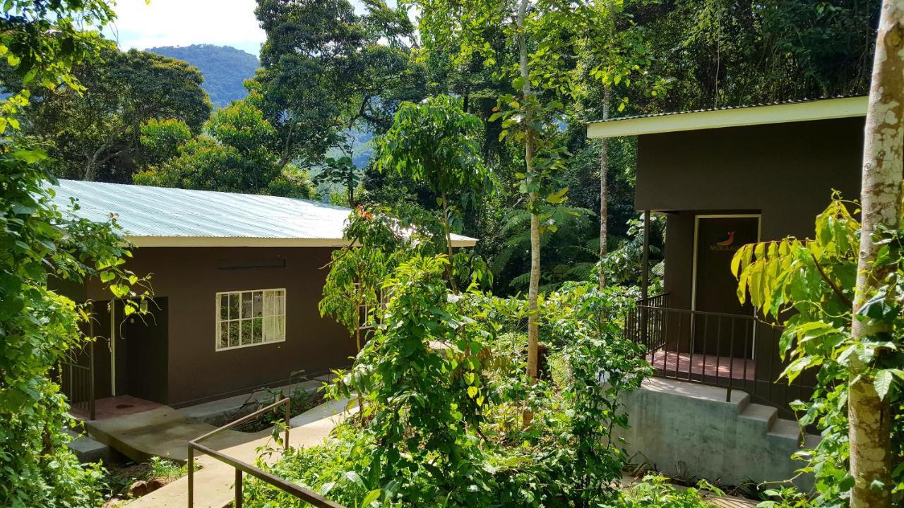 Bwindi Guest House Kanungu Esterno foto