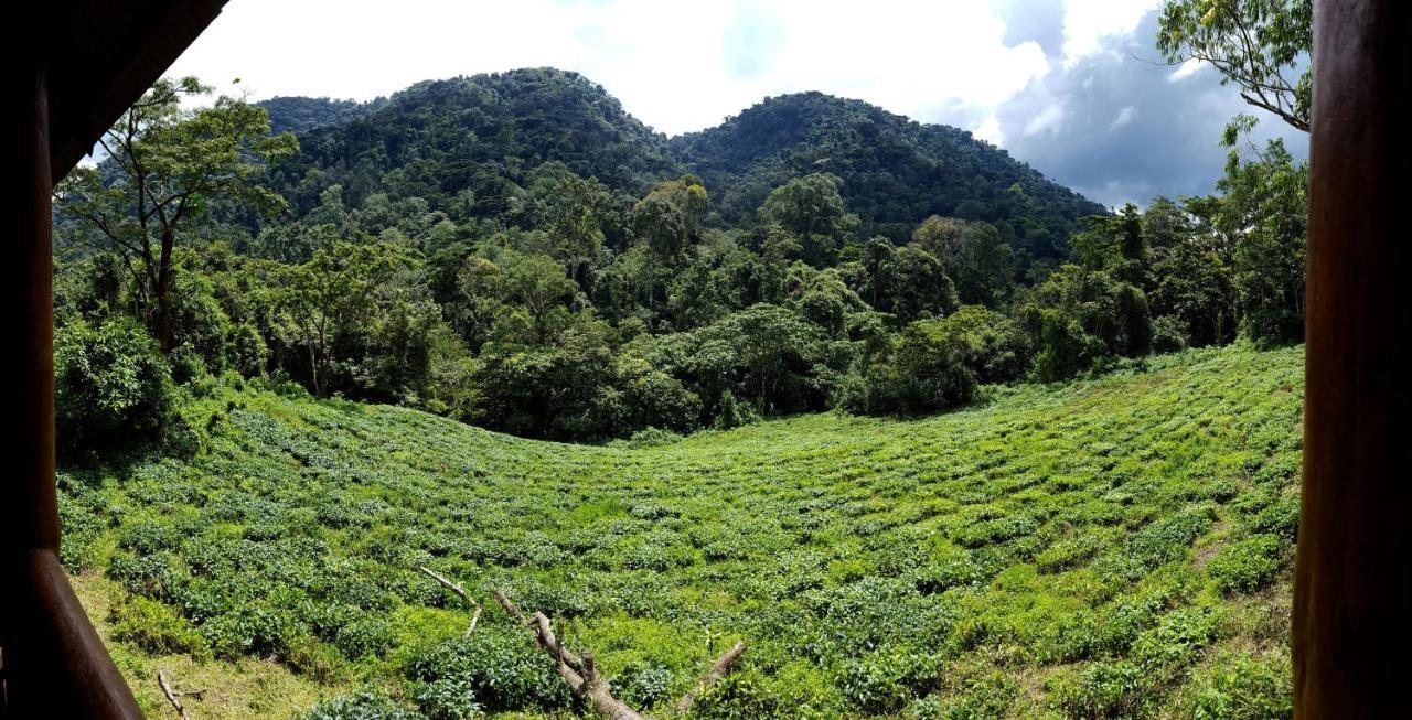 Bwindi Guest House Kanungu Esterno foto